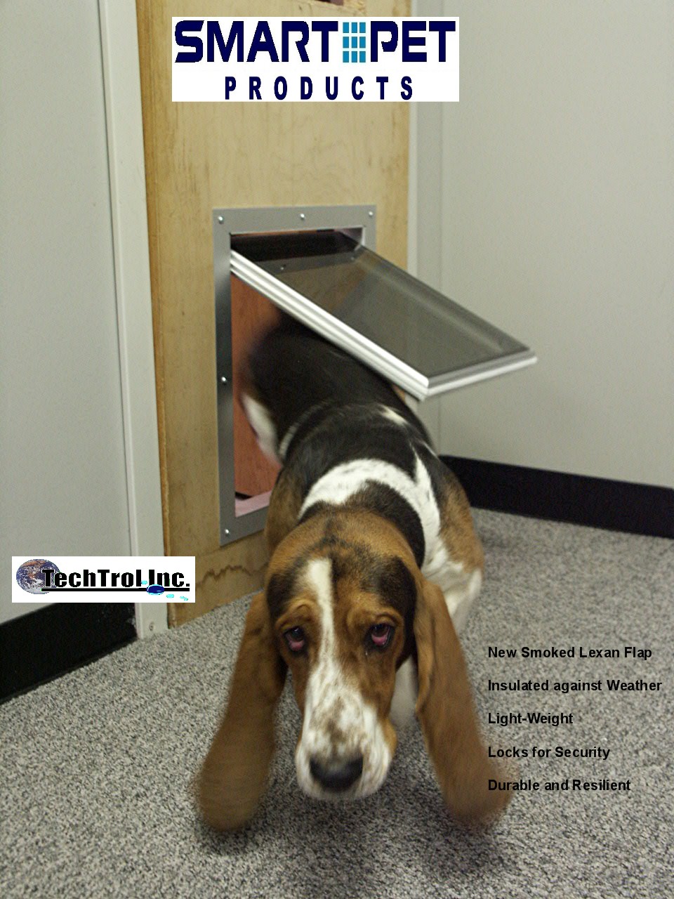 Large dog clearance door size